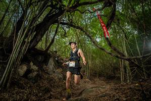 BIB: 
                            <button type="button" onclick="openModal(22177363)" class="btn btn-primary btn-sm float-right btn-popup" data-toggle="modal" data-target=".modal-high-quality">
                        <i class="fas fa-shopping-cart"></i> Add to Cart
                    </button>
                                            <button type="button" onclick="isThisMe(22177363, true)" class="btn btn-success btn-sm float-right btn-popup btn-isme hidden" data-toggle="tooltip" data-placement="bottom" title="นี่คือรูปของคุณใช่ไหม คลิกที่นี่เพื่อเอาเข้าอัลบั้ม">
                        <i class="fas fa-plus"></i> Add to album
                    </button>
                    <button type="button" onclick="isThisMe(22177363, false)" class="btn btn-warning btn-sm float-right btn-popup btn-isnotme hidden">
                        <i class="fas fa-ban"></i> Remove from album
                    </button>